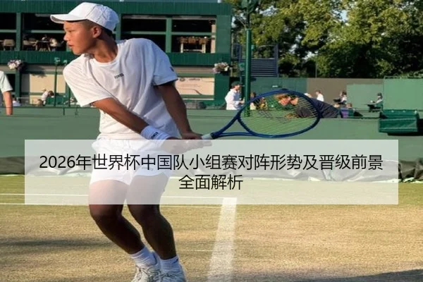 2026年世界杯中国队小组赛对阵形势及晋级前景全面解析
